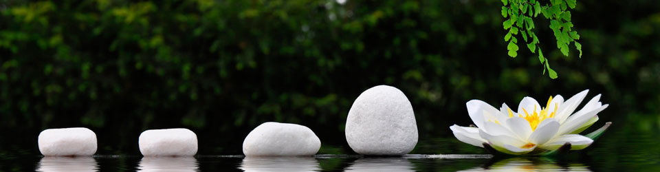 Dao Day - chinesisch-deutsche Begegnungsstätte für Veranstaltungen und kulturellen Austausch