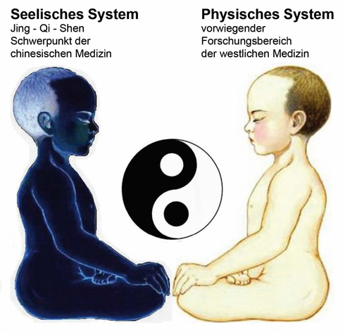 seelisches-physisches-system